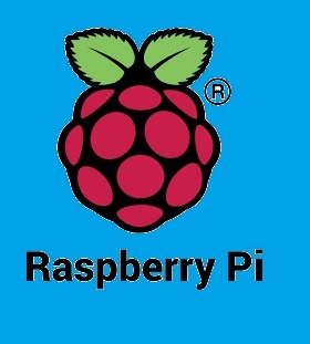 Logo Raspeberry